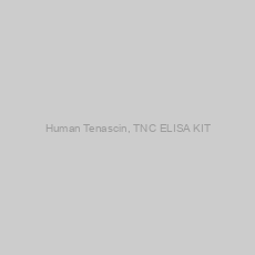 Image of Human Tenascin, TNC ELISA KIT